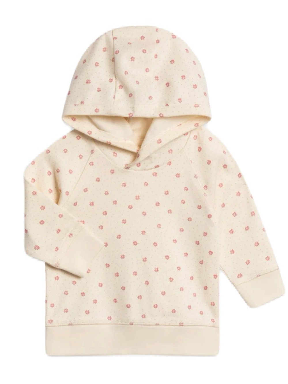 Colored Organics hooded pullover